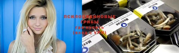 кокаин VHQ Заводоуковск
