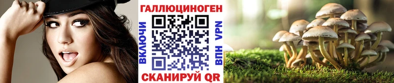 Галлюциногенные грибы Cubensis  Купить  Чегем 