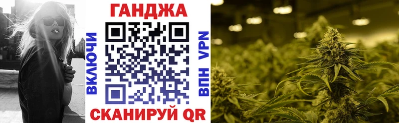 Купить закладки  Чегем  МАРИХУАНА сатива 